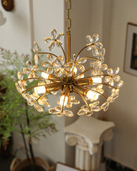 Brielle Chandelier - YhLamps